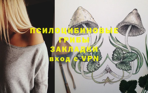 бутик Новозыбков