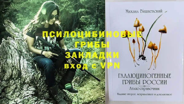 трава Нязепетровск
