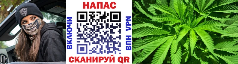 где найти наркотики mega ссылки Конопля Bruce Banner Андреаполь